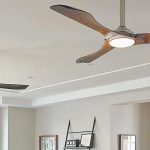 Ceiling Fan