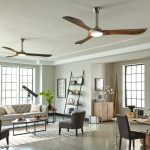 Ceiling Fans
