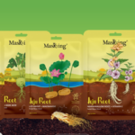 the masking face mask free